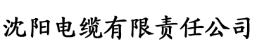 百灵达个人监听系统电缆厂logo